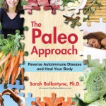 The Paleo Approach Sarah Ballantyne