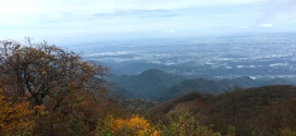 Up Mount Oyama